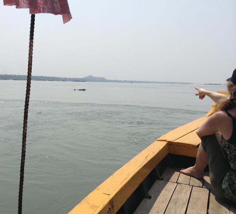 Chasing-Irrawaddy-Dolphins00