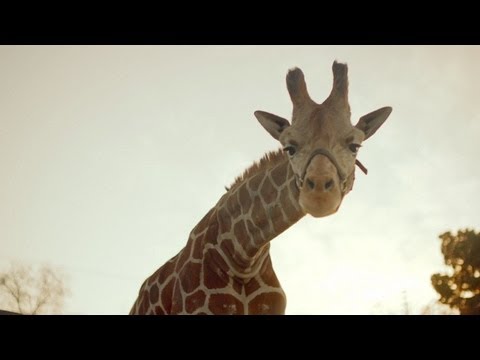 Chris Malinchack (WHO ?) 'So Good To Me' official music video